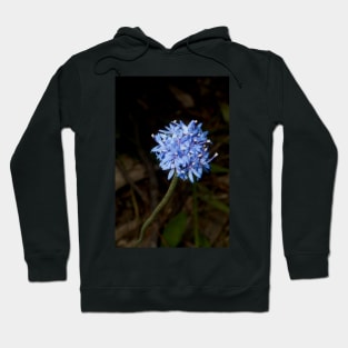 Truly Blue Pincushion Hoodie